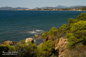 Porquerolles (4004 visits) Porquerolles