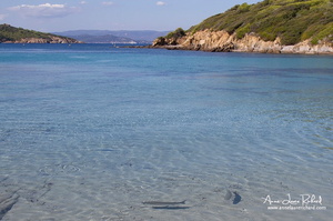 Port Cros (3973 visits) Port Cros