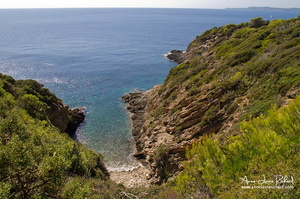 Port Cros (4184 visits) Port Cros