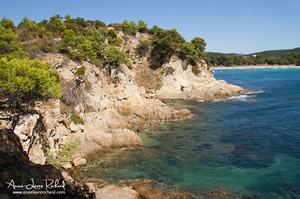 Bormes les Mimosas (4027 visits) Bormes les Mimosas
