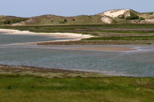 Het Zwin (3795 visits) Het Zwin
