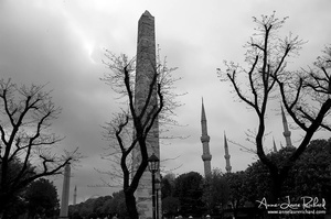13 (8088 visits) 13