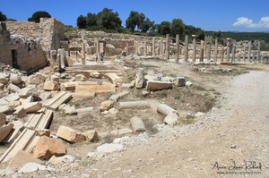 Patara (8015 visits) Patara