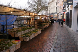 Utrecht (3917 visits) Utrecht