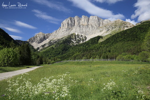 Grand Veymont (424601 visits) Grand Veymont