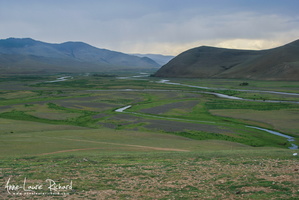 Steppe