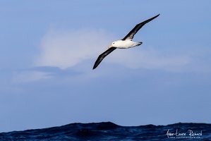 IMG 0353 (1112407 visits) IMG 0353