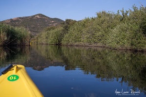 IMG 7607 (14693 visits) IMG 7607